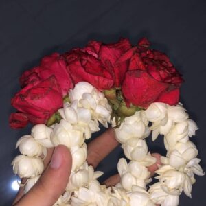 Gajry