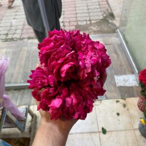 Red Rose Gajra